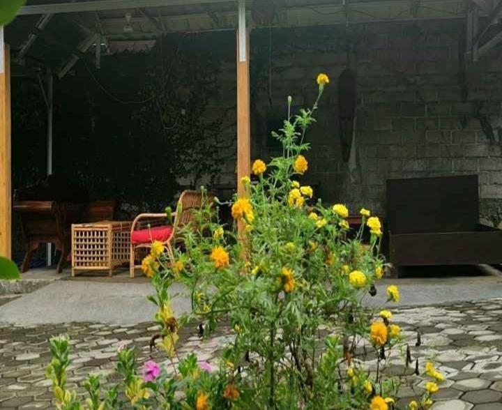 Tiffany Garden Apartment Mangsit Exterior photo